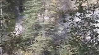 Todd Standing's Climbing Bigfoot Footage