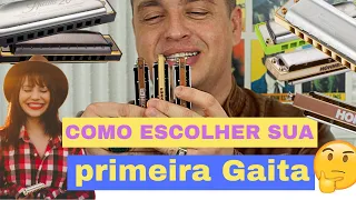 Como escolher sua primeira Gaita @ Dica de Gaita