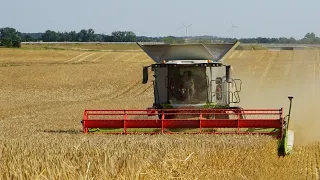 Barley harvest | East-Germany | Claas lexion 7400 | Claas Trion 750 TT