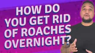 How do you get rid of roaches overnight?