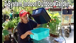 How to GROW ONIONS BIG Indoors Growing Container Gardening EASY System Garden & Compost in Place