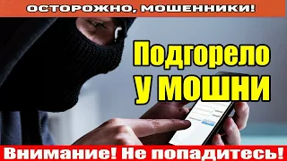 Мошенники звонят по телефону / Аферисты пустили сопли и позорно сливаются!