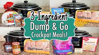 6 DUMP & GO CROCKPOT DINNERS | Tasty, Quick & EASY 3-INGREDIENT Slow Cooker Meals | Julia Pacheco