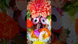 New Odia Jagannath Bhajan Status 🙏||Fullscreen 4k Bhajan Status😍 #shorts #whatappstatus #kaliacrush