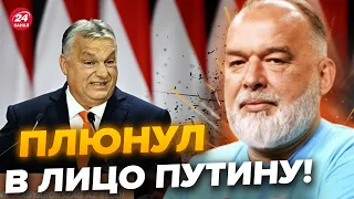 🔥ШЕЙТЕЛЬМАН: Орбан РАЗМАЗАЛ Путина при всех! Эти слова ВЗОРВАЛИ сеть / Только послушайте @sheitelman