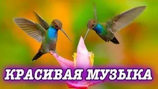 Шикарная музыка! Это лучшая музыка для души! Сергей Чекалин! Послушайте.. Самая красивая музыка