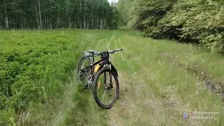 Велосипед! Лесной выезд