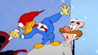Woody Woodpecker Show | The Ice Rage | 1 Hour Compilation | Videos For Kids