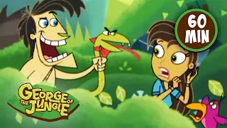 George Of The Jungle | 1 Hour Compilation | HD | Full Episode