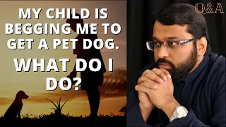 My Child is Begging Me To Get A Pet Dog…what do I do?! | Q&A | Shaykh Dr. Yasir Qadhi