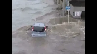 Tsunami Under Pedestrian Bridge, Tagajo City