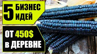 Топ-5 Прибыльных бизнес идей из деревни! Бизнес идеи 2020! Бизнес идеи!