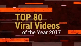 TOP 80 Viral Videos of the Year 2017 || ViralSnare