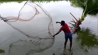 Fishing।Net fishing in the village।Fish hunting by cast net।Village fishing (part-36)