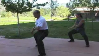 Internal Structure Testing: Chen Style Tai Chi with George Xu and Susan Matthews