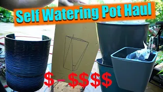 Self Watering Pots From Amazon || Amazon Haul!