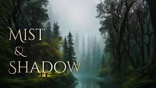 MIST AND SHADOW | dark forest ambience and music | sounds of forest with ambient fantasy music