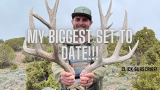 MY BIGGEST SET TO DATE!!! |MULE DEER SHEDS | SHED HUNTING