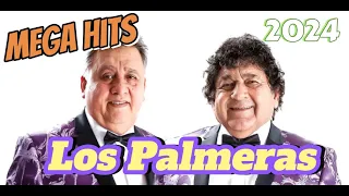 MUSICA PARA BAILAR - COLADITO # 24 - LOS "HITS" DE LOS PALMERAS