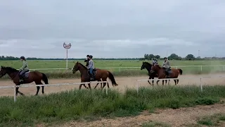 Вышли в поле вместе с конём))).Ездим по скаковому кругу.)