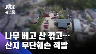 산 깎고 나무 베서 주차장으로?…산지 불법훼손 적발 / JTBC 뉴스룸