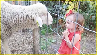 Funniest Moments Baby Meet Animals First Time - Funny Baby