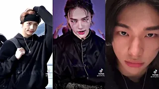 Hyunjin (Hwang Hyunjin) Stray Kids #49 Tiktok Compilation | Tiktok Edit | Real Size