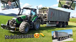 FarmVlog #55 | Der erste Mais fällt! | Maishäckseln 2020 | TTV am Limit?! | Moareida Agrar