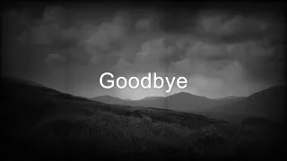 "Goodbye" by Aloe Blacc and Engelmorte