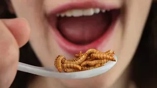 10 Most Disgusting Foods In The World