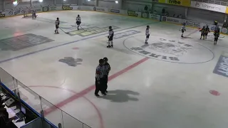 2019.11.16 - Білий Барс (Біла Церква) vs Кабани (Ковалівка)