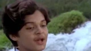 Vellichillum Vithari - Ina (1982).flv