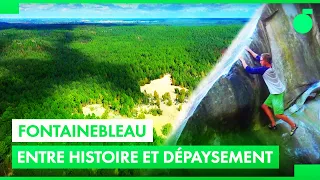 Fontainebleau: A forest full of surprises!