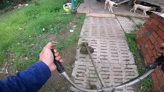 This garden yard was being consumed by nature