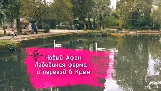 На море в сентябре (часть 5)/ Последний день в Абхазии, Новый Афон и переезд в Крым