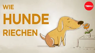 Wie Hunde mit ihrer Nase „sehen“ – Alexandra Horowitz