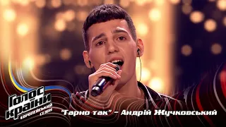 Andrii Zhuchkovskyi — Harno tak — Blind Audition — The Voice Show Season 13