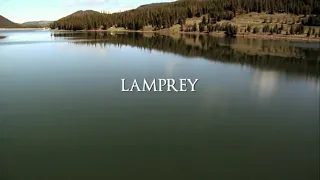 Blood Lake Attack of the Killer Lampreys 2014 Hindi Dubbed 360p