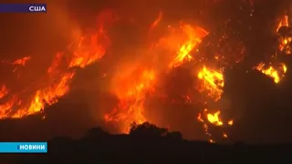 Одна людина загинула внаслідок лісової пожежі в Каліфорнії
