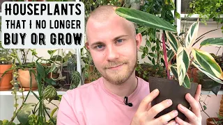 Houseplants That I Don't Bother Buying Or Growing Anymore