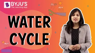 Water Cycle | Class 4 I Learn with BYJU'S