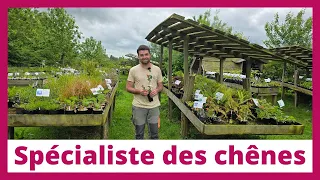 La pépinière les Chênes de Caux : Une collection unique de plantes comestibles