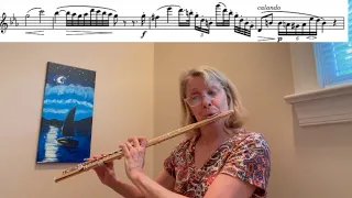 Flute Etude Op. 110, #20 in C minor from 24 Etudes Melodiques by Caspar Kummer