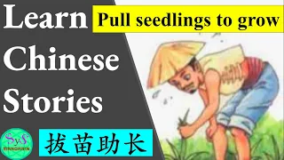 402 Learn Chinese Through Stories 《拔苗助长》｜ Pulling seedlings up to grow