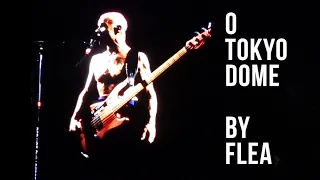 "I Like Dirt" ~ "O Tokyo Dome" by Flea Red Hot Chili Peppers at Tokyo Dome 2024 レッチリ ホッチリ