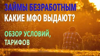 Займы безработным - какие МФО выдают? / Обзор условий, тарифов / Условия и подводные камни