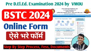 Rajasthan BSTC Online Form Kaise Bhare 2024 ।  How to Fill Rajasthan Pre DElEd Online Form 2024