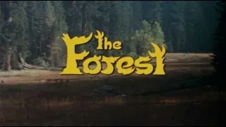 THE FOREST Movie Review (1982) Schlockmeisters #253