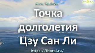 Точка долголетия Цзу Сан Ли