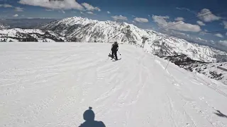 May 11 snowbird spring shredding